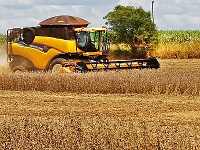 Exportações de Mato Grosso do Sul impulsionam economia estadual no primeiro trimestre