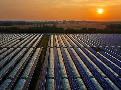 Inovações tecnológicas e investimentos impulsionam a eficiência dos painéis fotovoltaicos