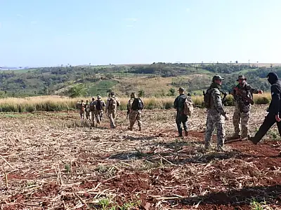 Operação binacional destrói centenas de hectares de maconha na fronteira com MS