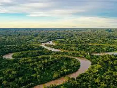 Alemanha confirma aporte de  1 bilhão ao fundo florestal criado pelo Brasil