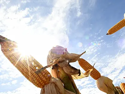 Agronegócio impulsiona economia de MS, que deve crescer 5,5% em 2025