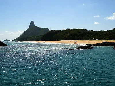Ilhas brasileiras: estudo revela presença de espécies exclusivas