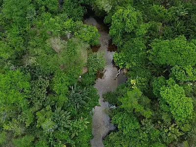 Amazônia registra menor área queimada em 41 anos, aponta relatório