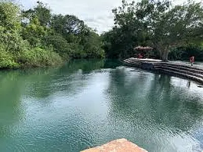 Após ataques de peixes a turistas, Ibama e MP investigam balneário em Bonito