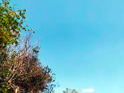 Sol e poucas nuvens nesta terça-feira em Mato Grosso do Sul