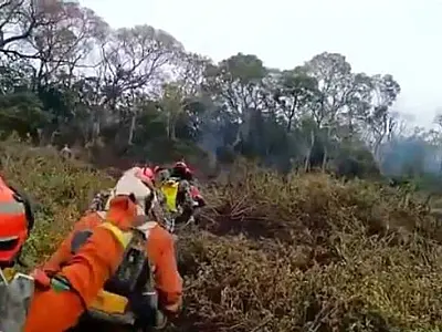Redução de 64% nos incêndios do Pantanal em julho sinaliza alívio temporário, mas alerta permanece