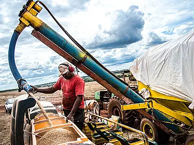 Agropecuária registra saldo positivo com mais de 4 mil empregos em Mato Grosso do Sul