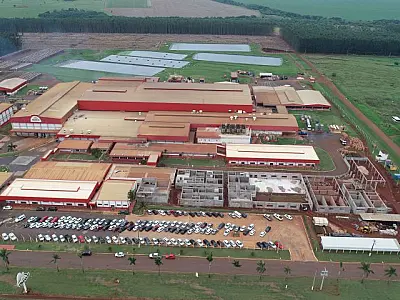 Expansão da suinocultura em MS: Aurora investe R$ 400 milhões para ampliar indústria