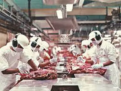 Exportações  de MS crescem e superávit comercial dispara quase 10% em janeiro
