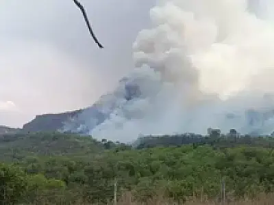 Incêndio no Parque do Taquari já atinge 9 mil hectares e avança para novas áreas