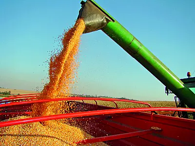 Com 2ª maior produção de etanol de milho do Brasil, MS vive novo tempo com a agroindústria