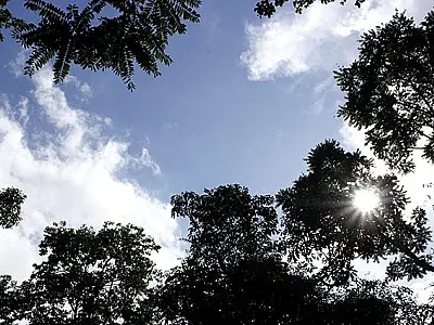 Tempo firme e as temperaturas em elevação marcam o início da semana em Mato Grosso do Sul