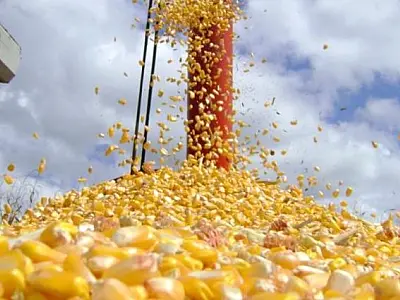Agroindústria em destaque: Produtos "Made in MS" conquistam o mercado nacional