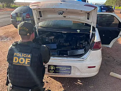 Estudante de medicina  é preso em flagrante com meia tonelada de maconha em rodovia na MS-164