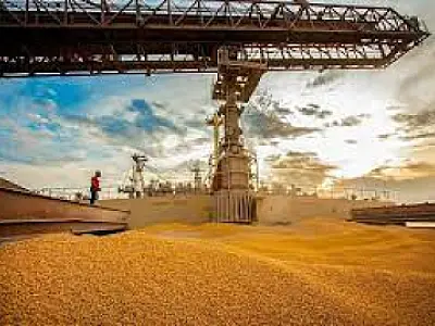 Brasil supera os EUA como principal fornecedor de milho e soja para a China