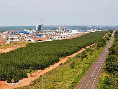 Mato Grosso do Sul lidera entre os estados com maior liberdade econômica