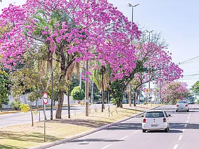 Campo Grande: 124 anos de história e cultura no coração do Brasil