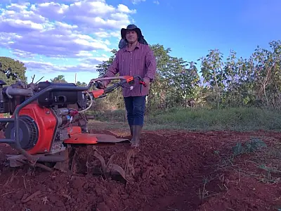 Agricultura Familiar bate recorde e projeta crescimento histórico em MS com R$ 5,1 Milhões