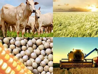 Setor agropecuário alavanca a economia e PIB cresce 1,9% no Brasil