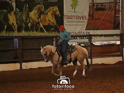 CLC recebe Etapa Nacional e Potro do Futuro com entrada franca
