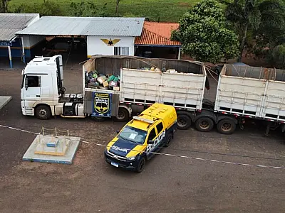 20 toneladas de maconha são apreendidas em caminhão de milho em MS