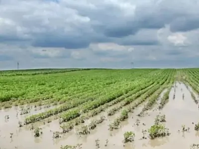 Chuvas no RS causam prejuízo de R$ 1,71 bilhão na agropecuária