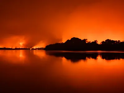 Pantanal registra menor número de queimadas em quase três décadas, aponta IHP