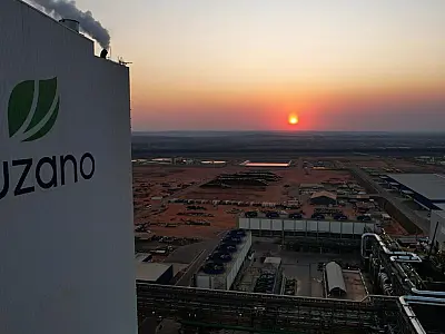 Suzano abre inscrições para o Programa de Estágio Técnico 2025