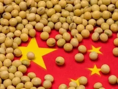 China projeta importações recordes de soja em 2025 com avanço das compras brasileiras