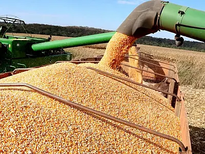 Agricultura sul-mato-grossense bate recorde: Produtores acessam R$ 14 bilhões em crédito rural