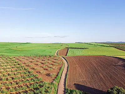 Produtores rurais têm até segunda-feira para declarar o ITR e evitar multas