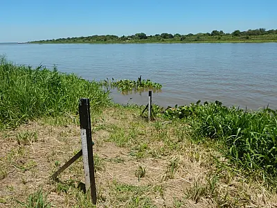 Chuvas acima da média Rritalizam rios do Pantanal após seca histórica