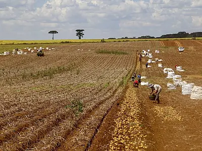 Governo Federal anuncia ajuda aos produtores rurais endividados por juros altos