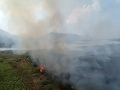 Crise no Pantanal: Multas de R$ 24 milhões por incêndios aplicadas nos últimos 2 anos