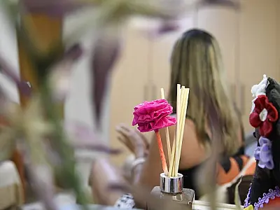 MS sanciona leis de apoio a mulheres vítimas de violência e chefes de família