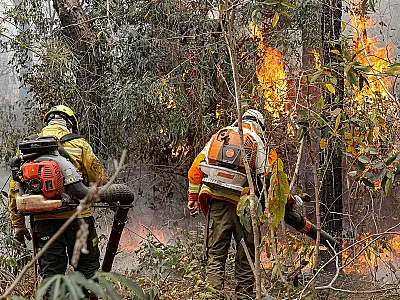 "Somos guardiões do Pantanal", diz brigadista Guató em combate a incêndio na Serra do Amolar