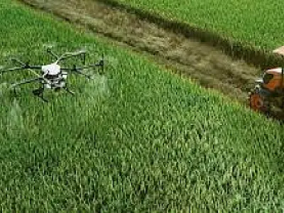 Agro brasileiro avança com sustentabilidade e cooperação global