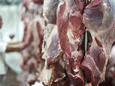 MS bate recorde de exportação de carne em julho, com alta para China e queda nos EUA