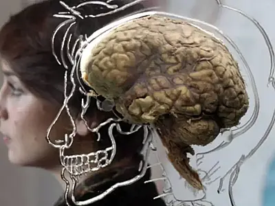 Descobertas inovadoras abrem portas para potenciais terapias da doença de Alzheimer