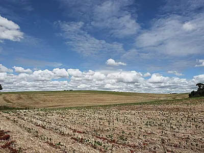Onda de calor afeta produção agrícola em Mato Grosso do Sul e desafia produtores
