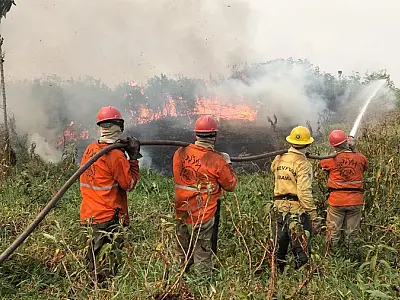 Clima seco e calor intensificam riscos de queimadas no Mato Grosso do Sul