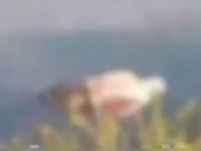 Pescadores encontram corpo com sacola na cabeça e mãos amarradas em lago