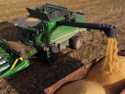 Setor agropecuário em MS enfrenta desafios, mas economia  mantém evolução no cenário nacional