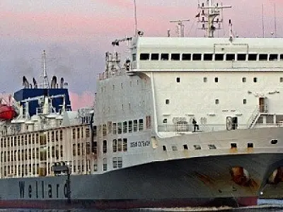Navio com 16 mil animais é abandonado na costa Australiana