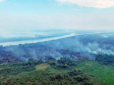 STF impõe ao Congresso prazo para criação de legislação específica para proteção ao Pantanal