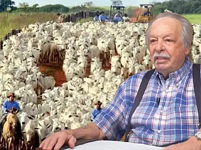 De Usineiro a Rei do Gado: A Trajetória do dono de mais de 240.000 cabeças no Brasil