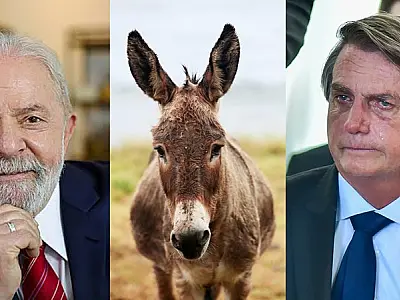 Lula rebate comparação que Bolsonaro fez entre o petista e um "jumento"