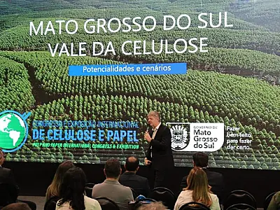Mato Grosso do Sul lidera crescimento em florestas plantadas, atingindo 1,5 milhão de hectares