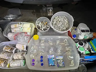 Homem é preso em Campo Grande com laboratório caseiro de cultivo de cogumelos psicoativos