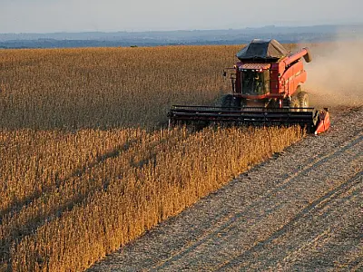 Brasil projeta "Safra Histórica" de 390 milhões de toneladas de grãos até 2033